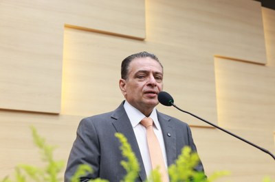 SESSÃO PLENÁRIA - FOTOS REGIS FALCÃO ASCOM ALEPI (1).jpg