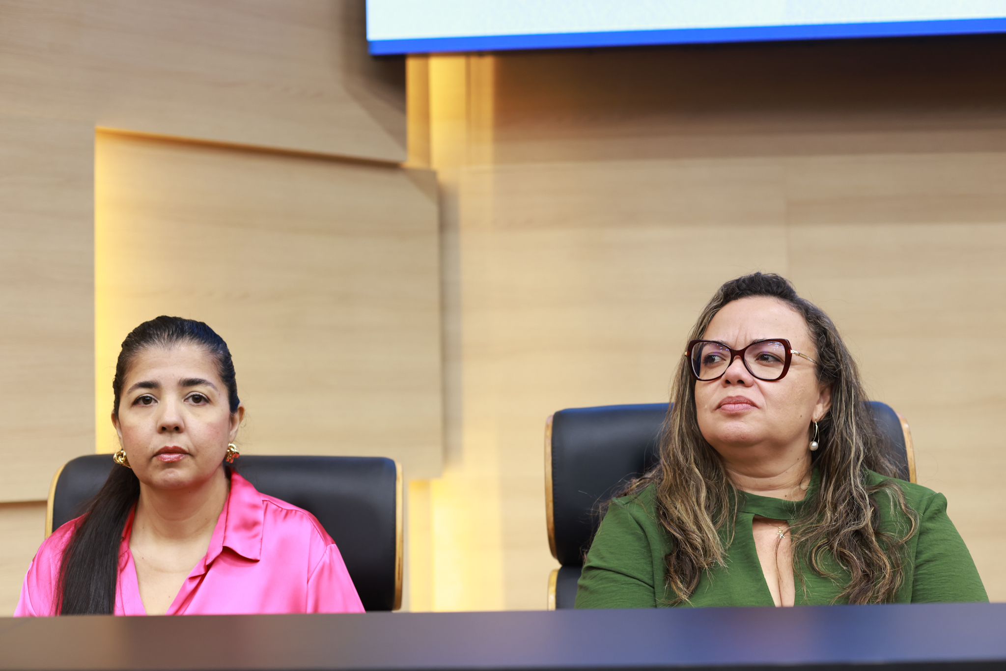 SESSÃO SOLENE PELO DIA DA SÍNDROME DE DOWN - FOTOS REGIS FALCÃO ASCOM ALEPI (13).jpg