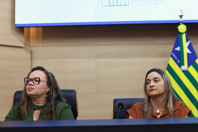 SESSÃO SOLENE PELO DIA DA SÍNDROME DE DOWN - FOTOS REGIS FALCÃO ASCOM ALEPI (14).jpg