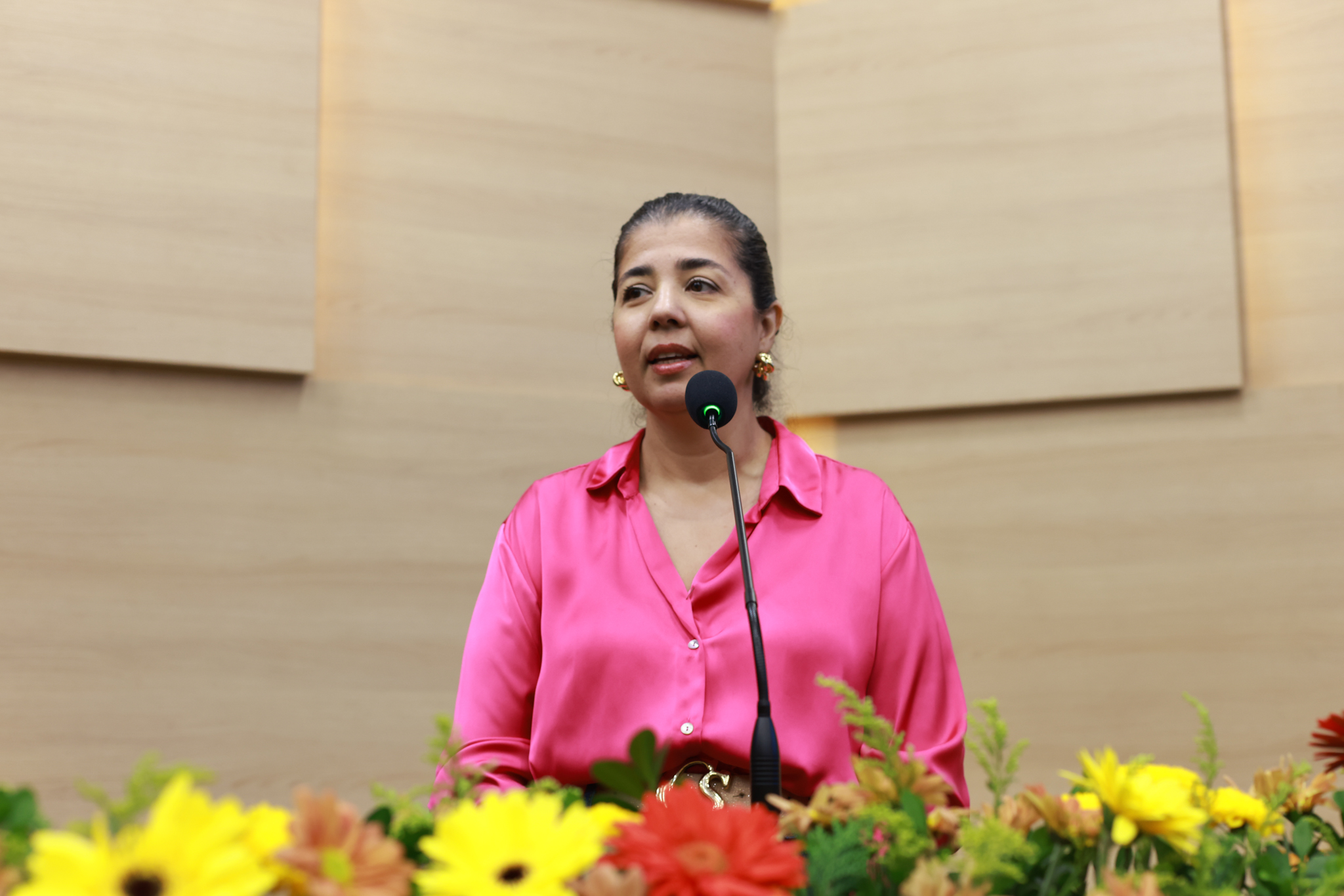 SESSÃO SOLENE PELO DIA DA SÍNDROME DE DOWN - FOTOS REGIS FALCÃO ASCOM ALEPI (6).jpg