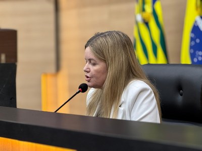 SESSÃO PLENÁRIA  (1).jpg