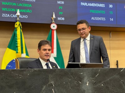 SESSÃO PLENÁRIA  (17).jpg