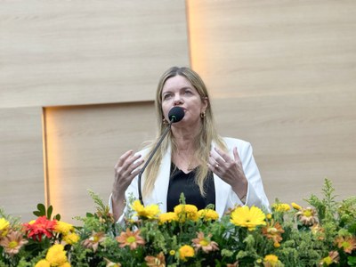 SESSÃO PLENÁRIA  (21).jpg