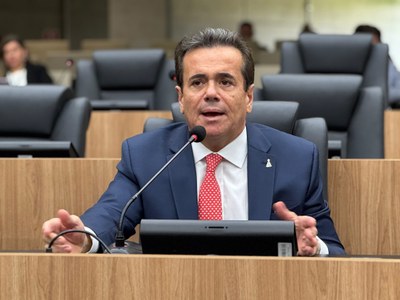 SESSÃO PLENÁRIA  (3).jpg