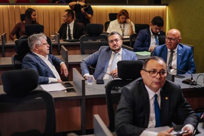 REUNIÃO DAS COMISSÕES CONJUNTAS-FOTOS THIAGO AMARAL (3).jpg