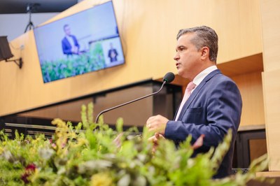 SESSÃO PLENÁRIA 24.03 (13).jpg