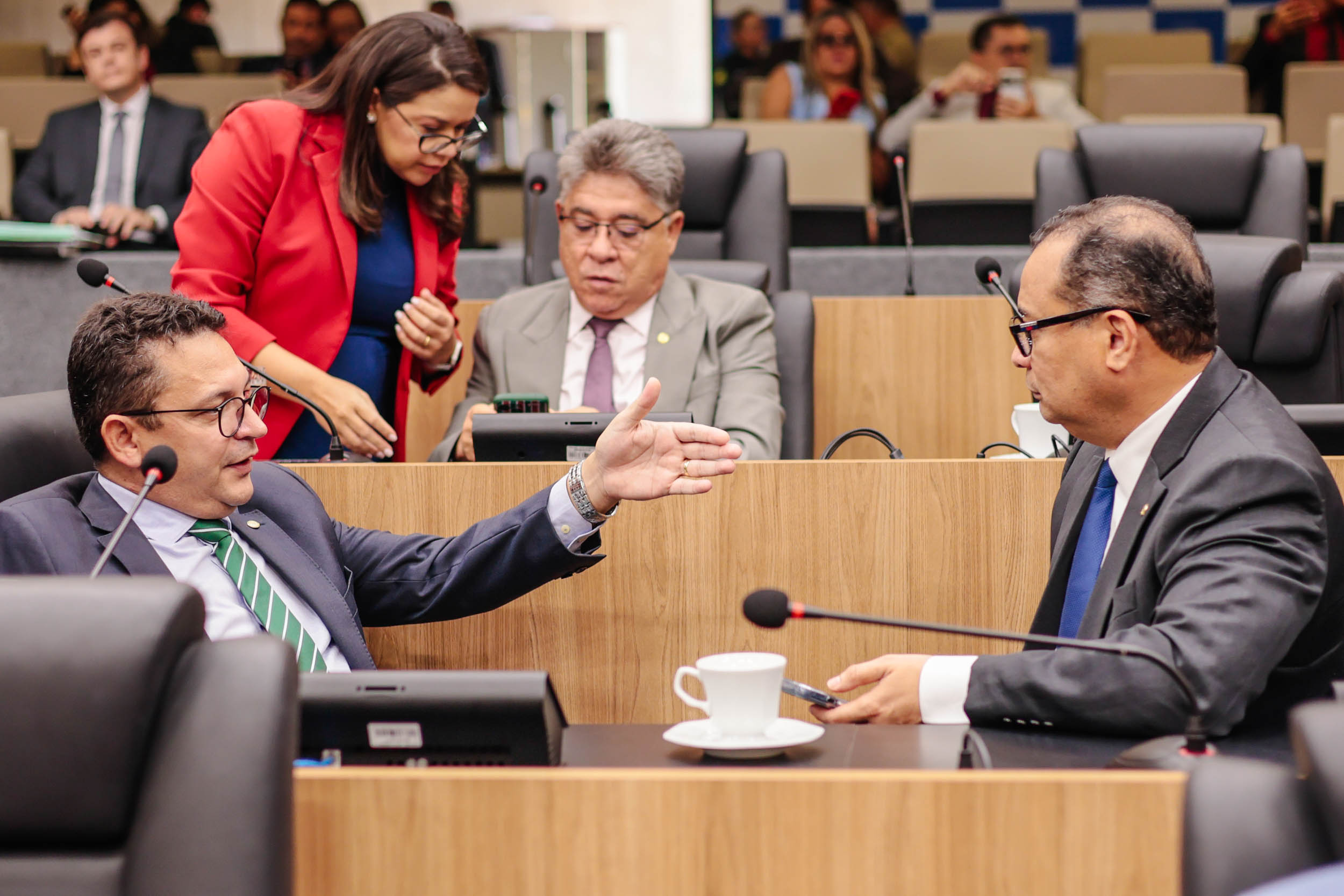 SESSÃO PLENÁRIA 24.03 (2).jpg