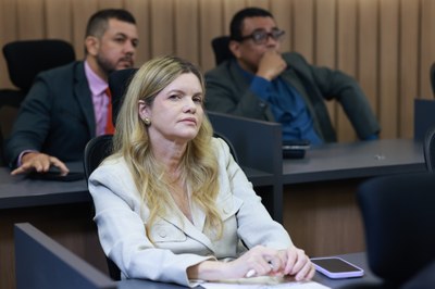 REUNIÃO DE COMISSÕES - FOTOS REGIS FALCÃO ASCOM ALEPI (25).jpg