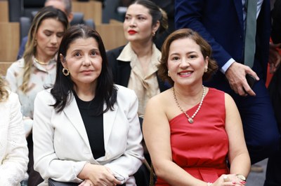  SESSÃO SOLENE EM HOMENAGEM AO DIA INTERNACIONAL DA MULHER E ENTREGA DA MEDALHA FRANCISCA TRINDADE FOTOS REGIS FALCÃO ASCOM ALEPI (1).jpg