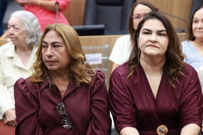  SESSÃO SOLENE EM HOMENAGEM AO DIA INTERNACIONAL DA MULHER E ENTREGA DA MEDALHA FRANCISCA TRINDADE FOTOS REGIS FALCÃO ASCOM ALEPI (3).jpg