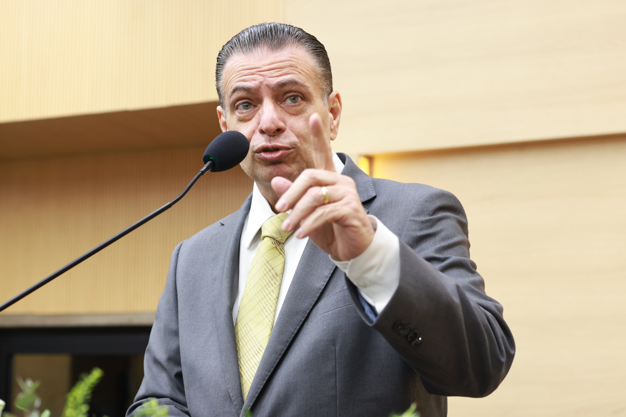 SESSÃO PLENÁRIA - FOTOS REGIS FALCÃO ASCOM ALEPI (25).jpg