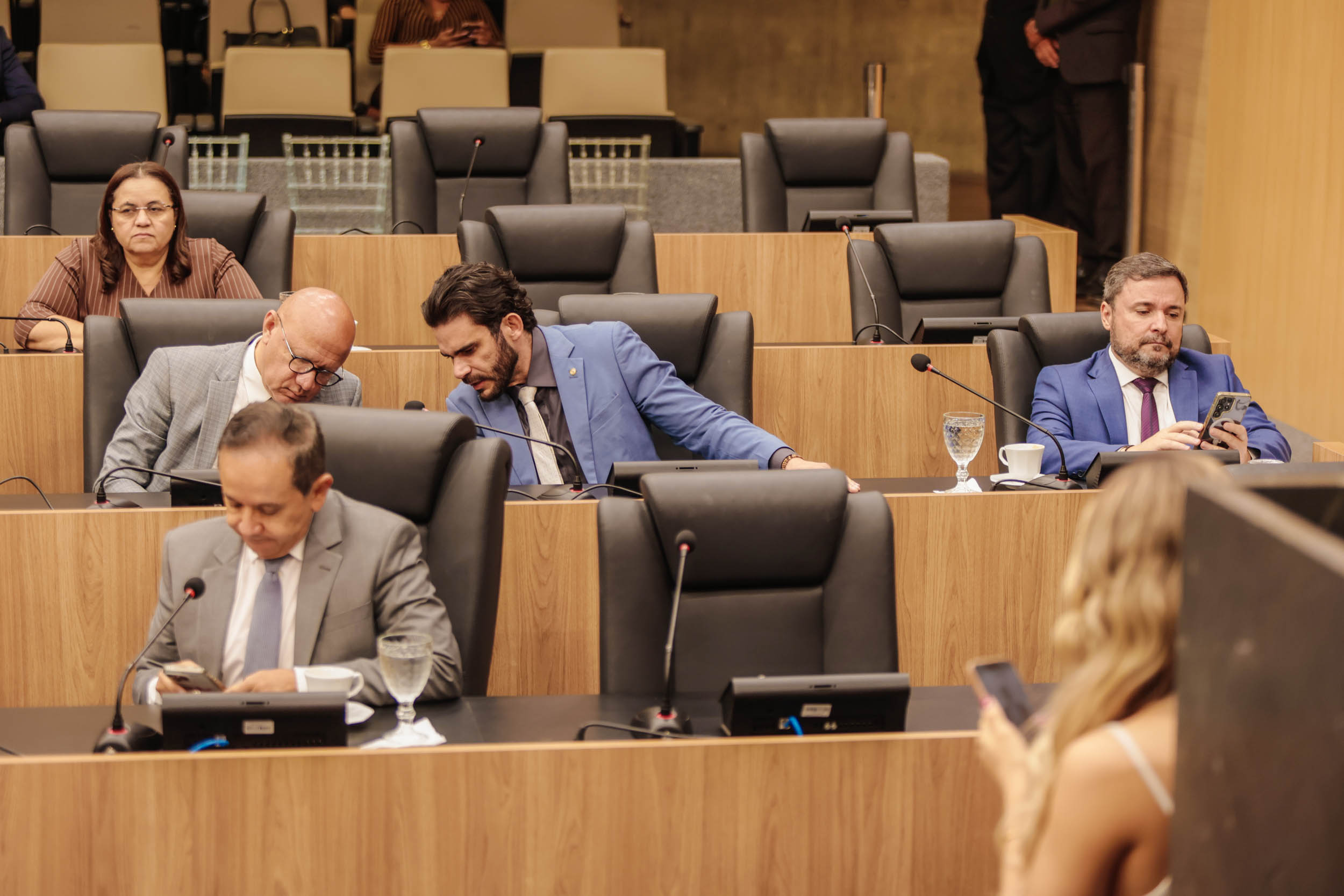 SESSÃO PLENÁRIA 31 (2).jpg