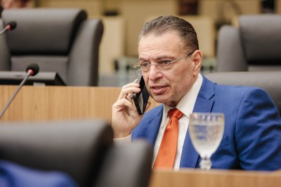 SESSÃO PLENÁRIA 31 (24).jpg