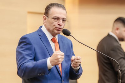 SESSÃO PLENÁRIA 31 (28).jpg