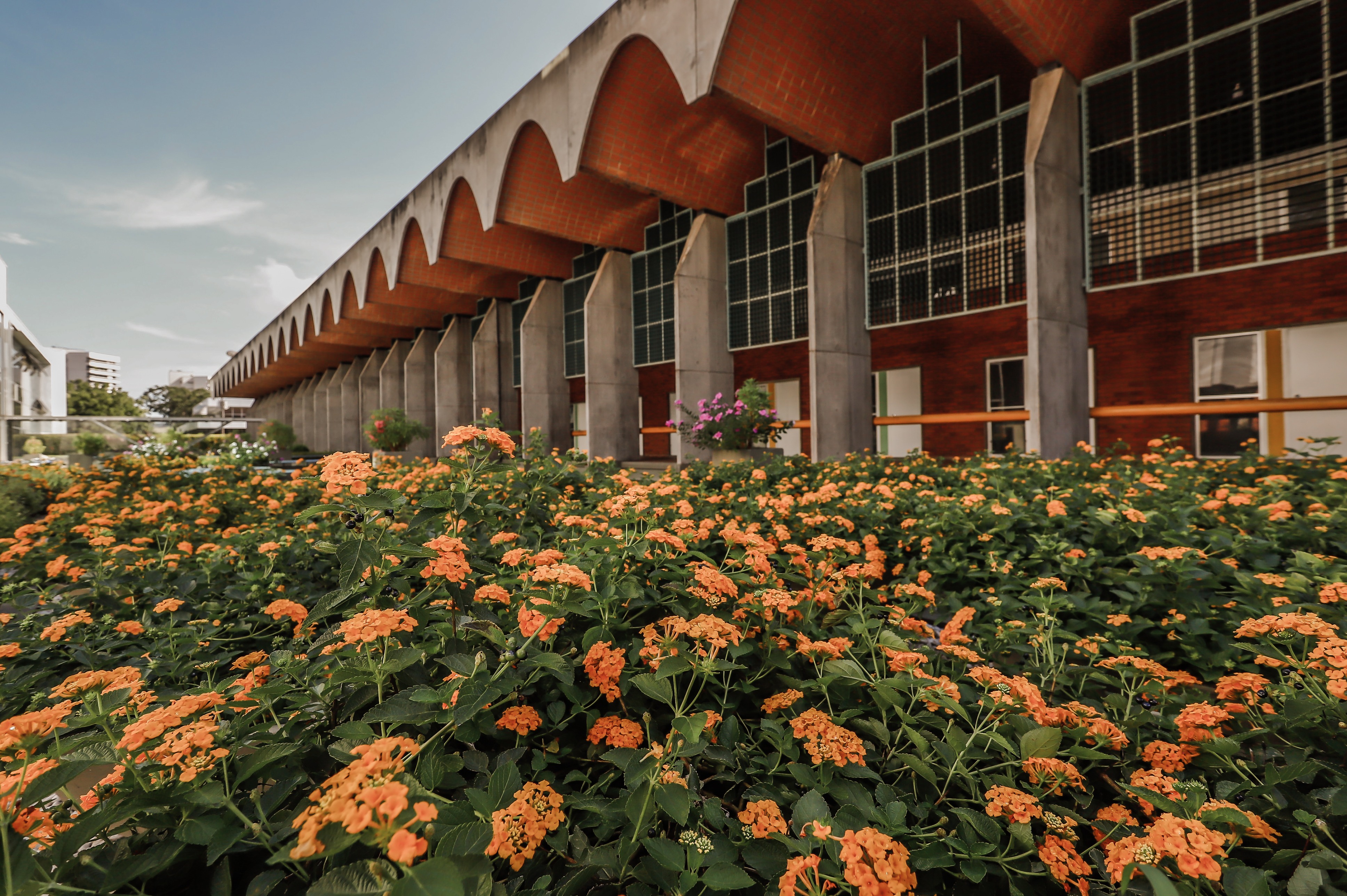 190 anos: Alepi realizará solenidade de encerramento das comemorações nesta quinta
