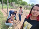 Agricultura familiar ganha impulso com distribuição de kits irrigação em 18 municípios do Piauí Agricultura familiar ganha impulso com distribuição de kits irrigação em 18 municípios do Piauí