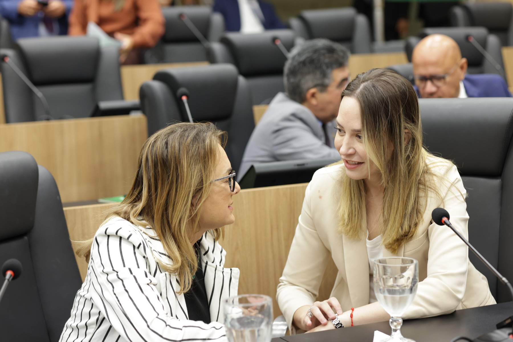 Alepi aprova criação de cadastro com condenados por crimes de violência contra mulher