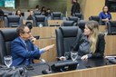 Alepi aprova Programa de Acompanhamento Psicológico para Mães no Pós-Natal