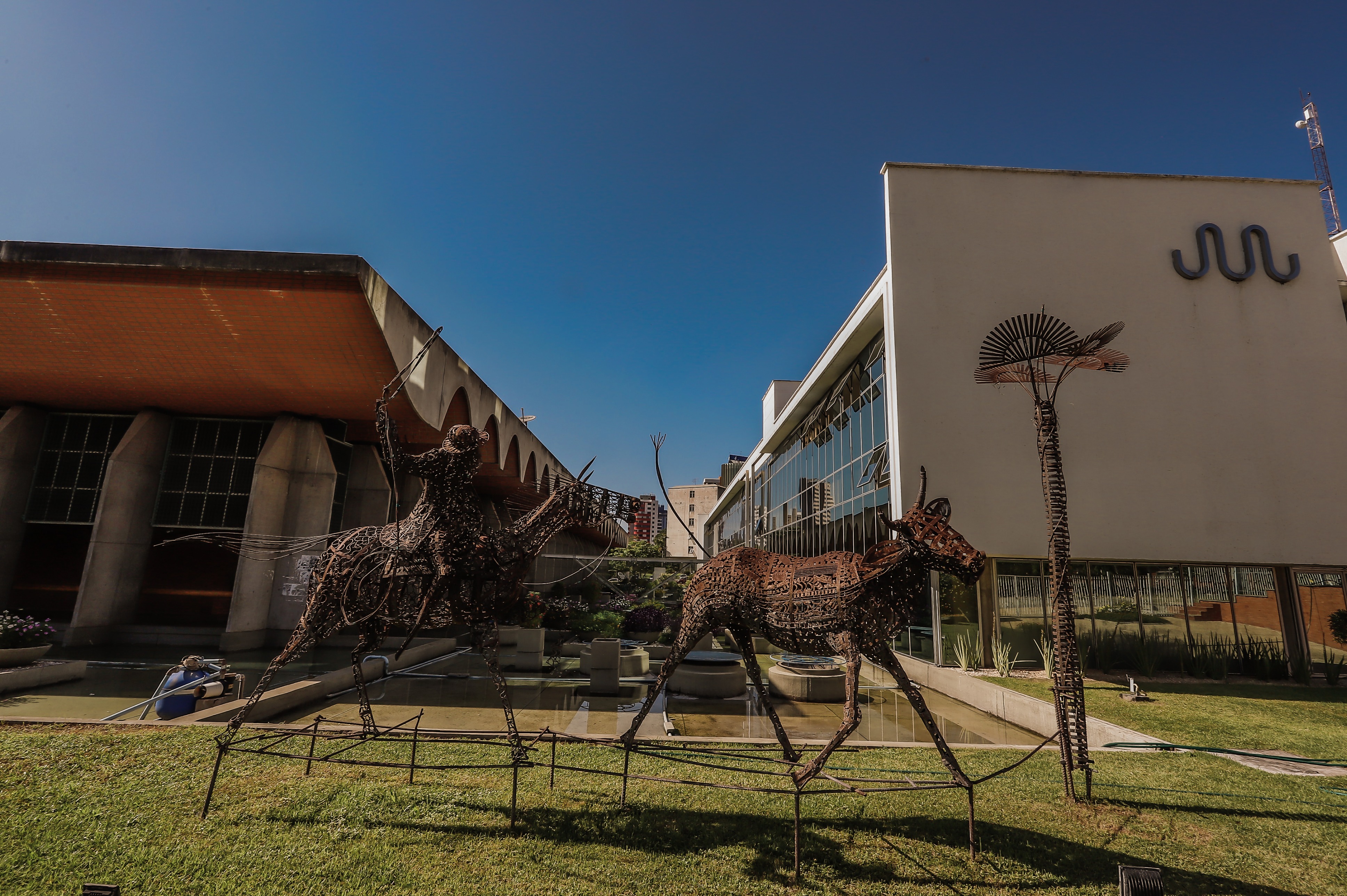 Alepi lança livro sobre os 190 anos do Legislativo piauiense nesta quarta (10)