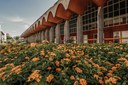 Alepi lança Programa Bem-Estar em evento alusivo ao Setembro Amarelo