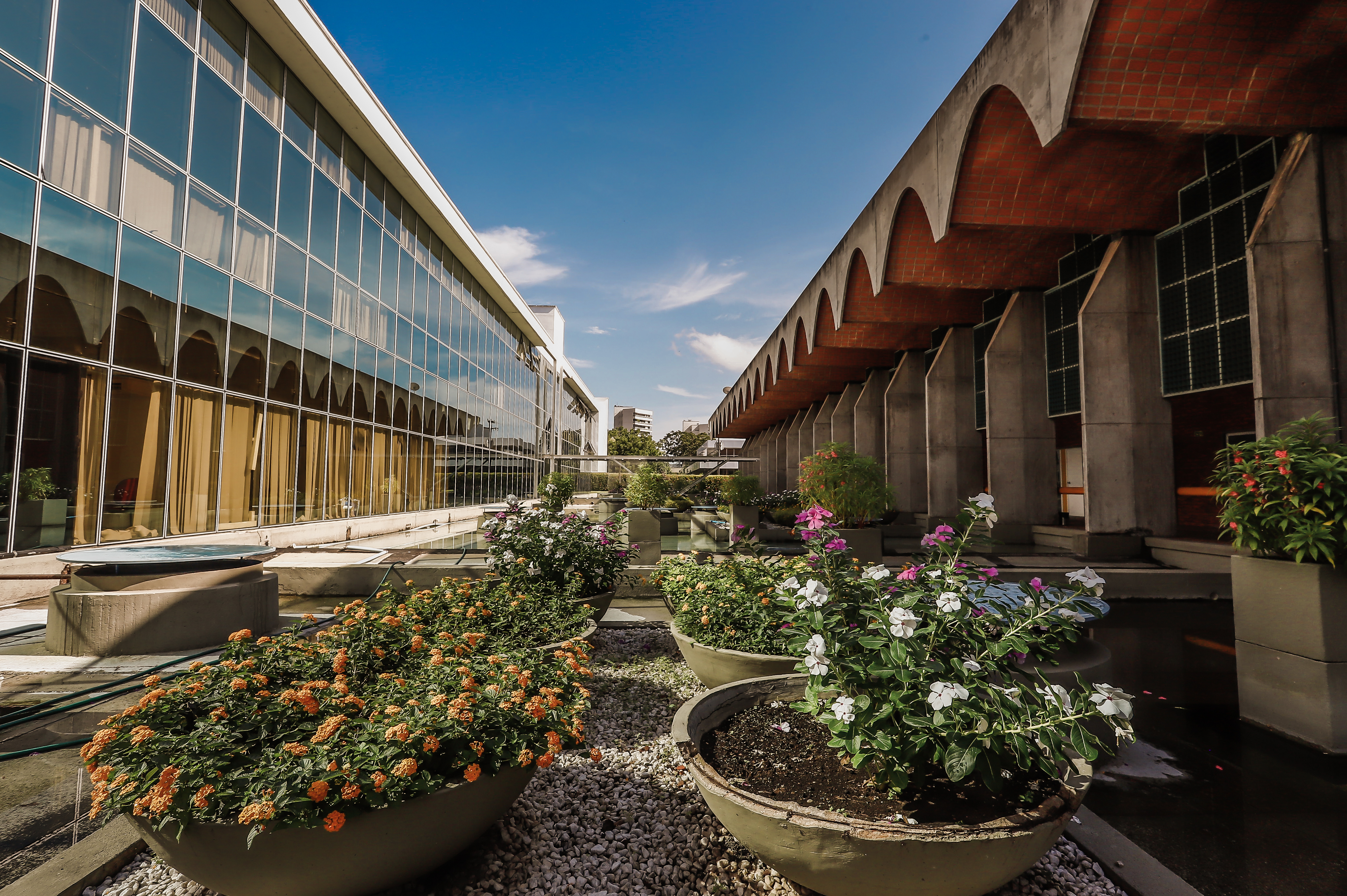 Alepi oficializa amanhã o chamamento de concursados de 2023