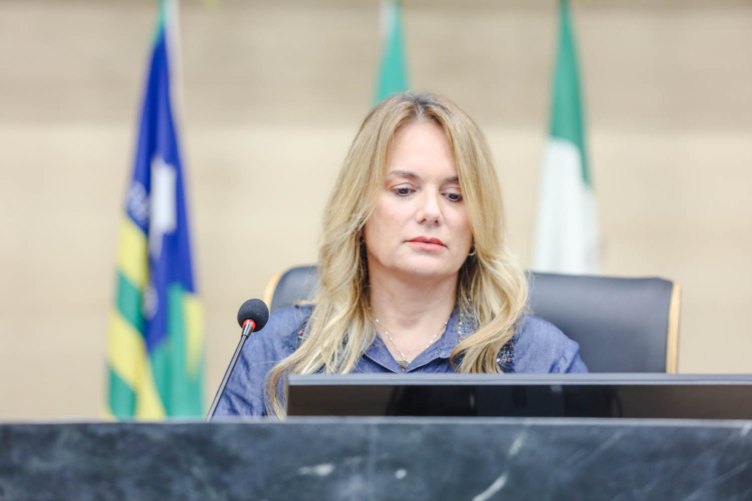 Ana Paula propõe criação de aplicativo para ajudar no combate às queimadas