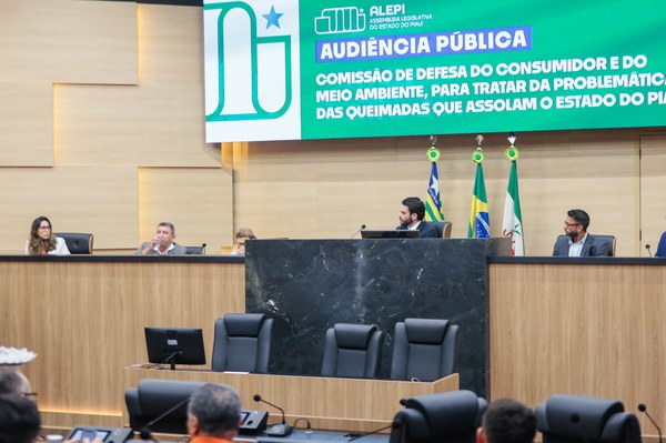 Audiência pública aponta ações necessárias para o combate aos incêndios