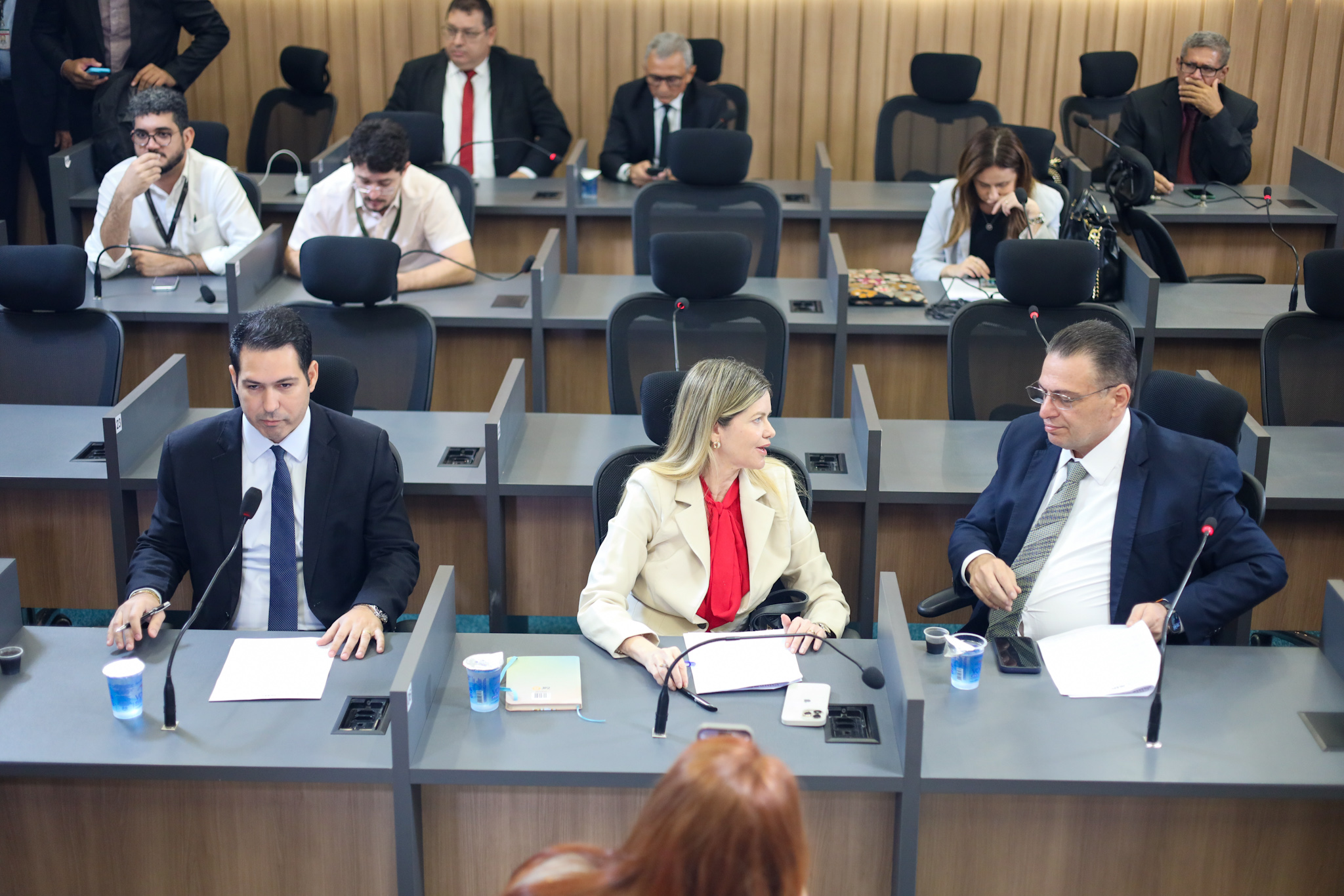 Comissão aprova título de cidadã piaauiense à ex-ministra da Saúde 