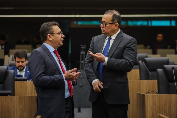 Deputados levam à tribuna a plenário déficit no fornecimento de energia e água 