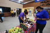 Feira do Servidor e Feira da Agricultura Familiar vão acontecer de forma conjunta na Alepi
