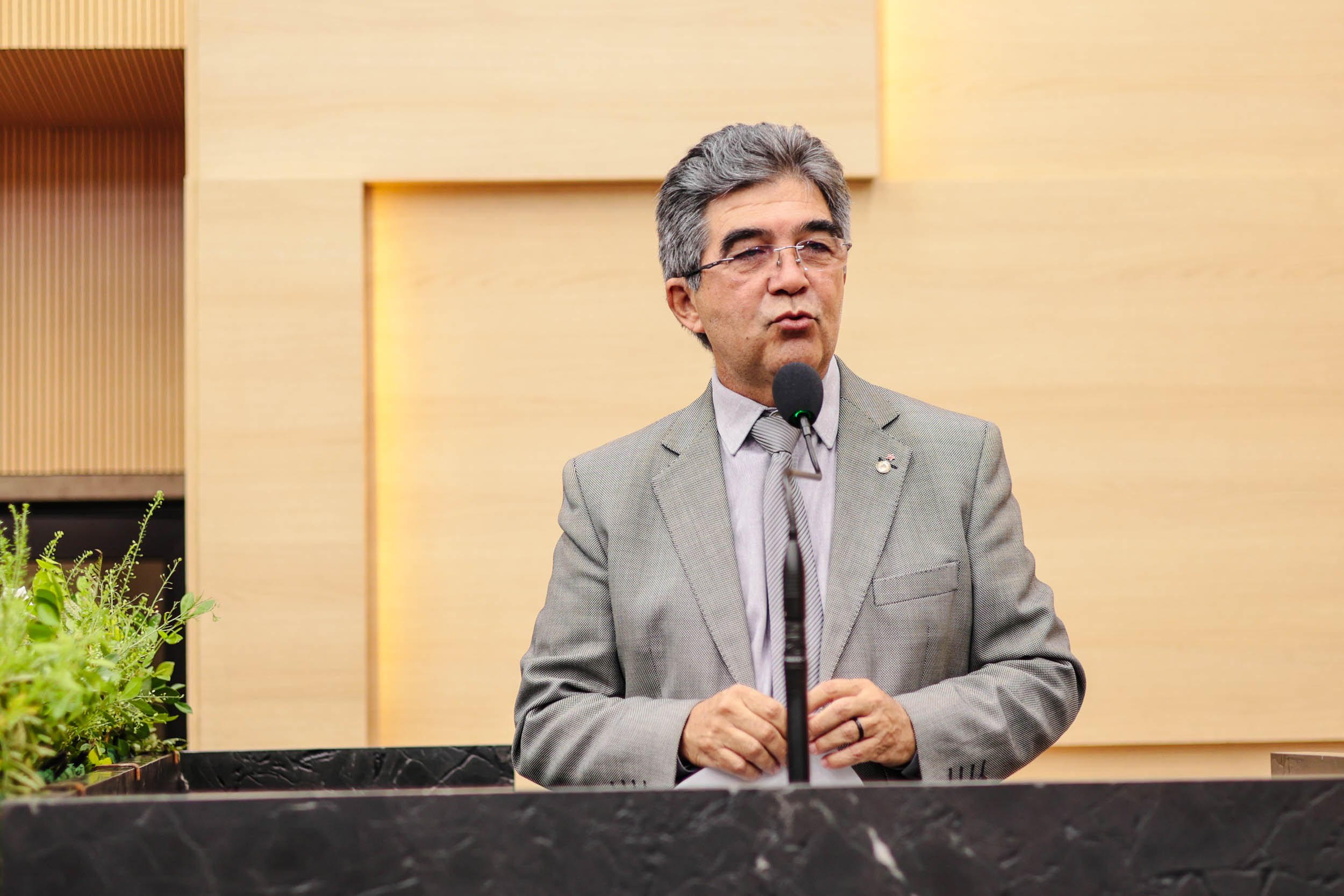 Vice-presidente da Alepi cobra fortalecimento do combate à violência contra a mulher