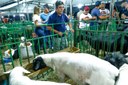 Limma destaca impacto econômico da ExpoCaprinor em Simões 