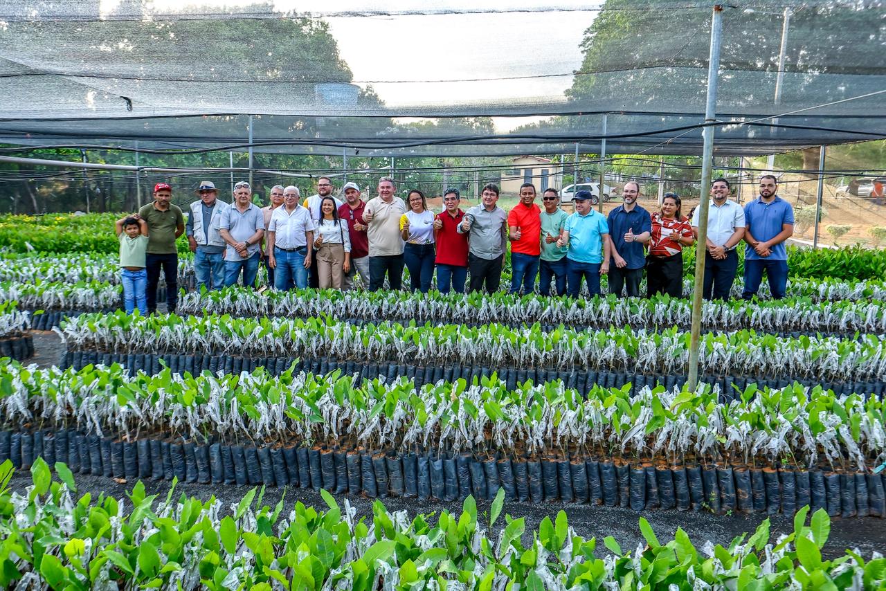 Limma visita viveiro de mudas referência em cajucultura em Ipiranga do Piauí