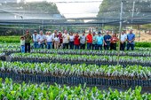 Limma visita viveiro de mudas referência em cajucultura em Ipiranga do Piauí
