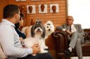 Projeto obriga permanência de animais de apoio a pessoas com deficiência em estabelecimentos Projeto obriga permanência de animais de apoio a pessoas com deficiência em estabelecimentos