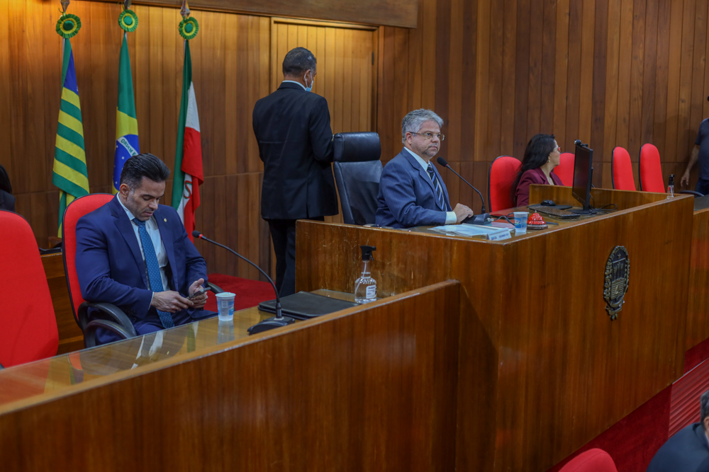 Projetos sobre concursos públicos, segurança e turismo são apresentados na Alepi