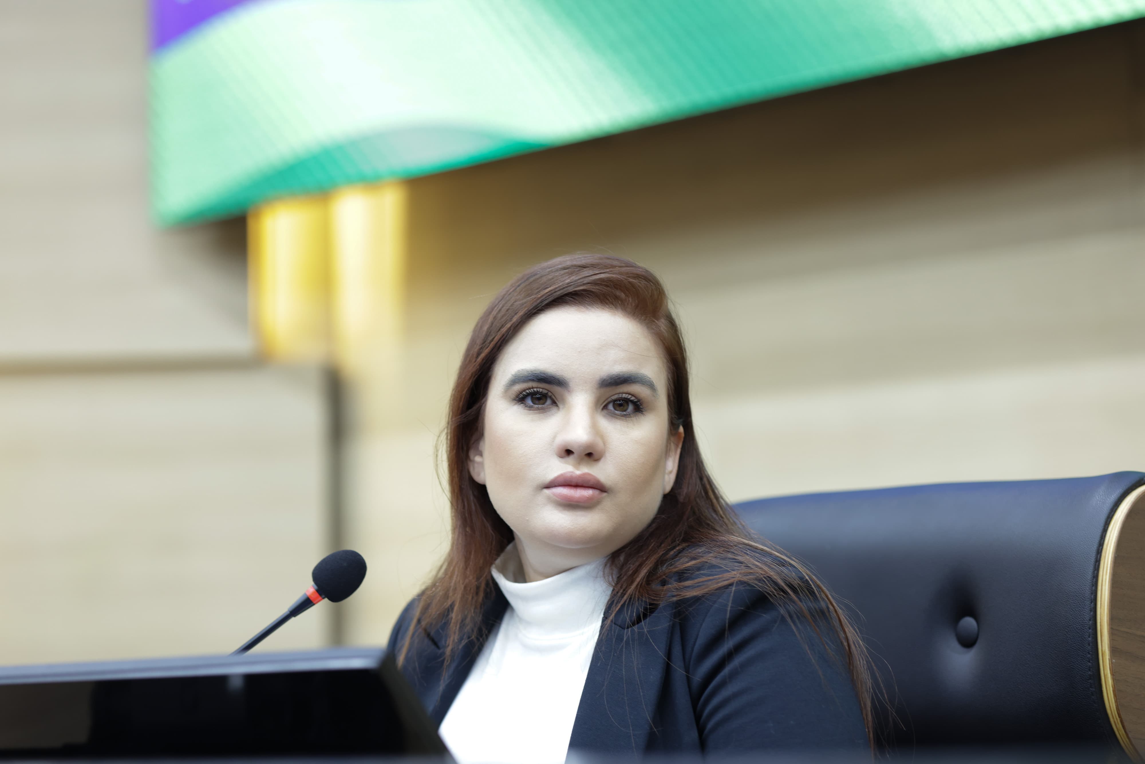 Resolução que instituiu licença-maternidade começa a tramitar na Alepi   