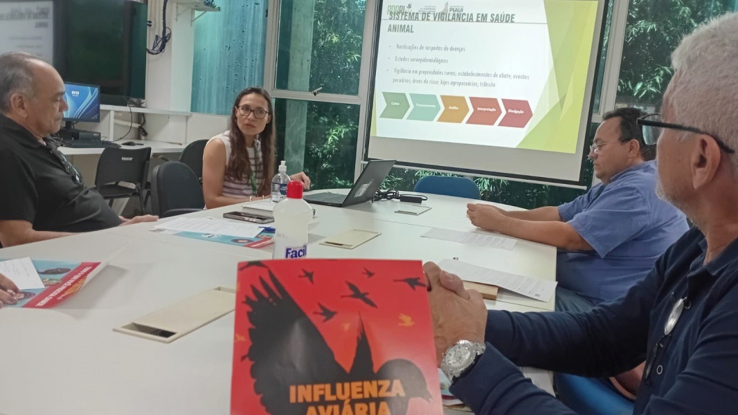Adapi e Sesapi alinham ações conjuntas de prevenção e controle da gripe aviária no território piauiense