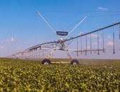 Baixa Grande do Ribeiro é o 22º município mais rico do Brasil no agronegócio