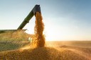 Balança Comercial do Piauí atinge R$ 794 milhões de reais de superávit em abril