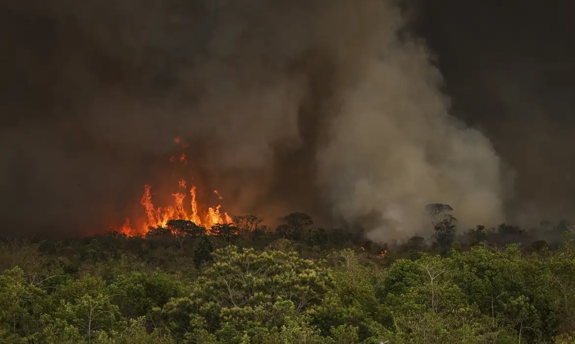 Câmara aprova aumento de punição a quem provocar incêndios florestais