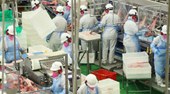 Com oitava alta consecutiva, preços da indústria sobem 0,66% em setembro