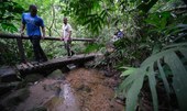 Confira os principais cuidados a serem tomados ao fazer trilhas