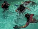 Corpo de Bombeiros do Piauí reforça dicas para evitar afogamentos em rios, praias e açudes