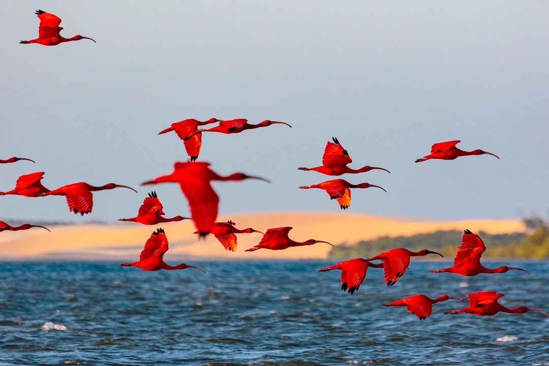 Delta do Parnaíba se destaca como referência nacional em ecoturismo