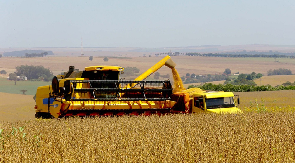 Estimativa de junho aponta safra recorde de 333,3 milhões de toneladas em 2025, alta de 13,9%