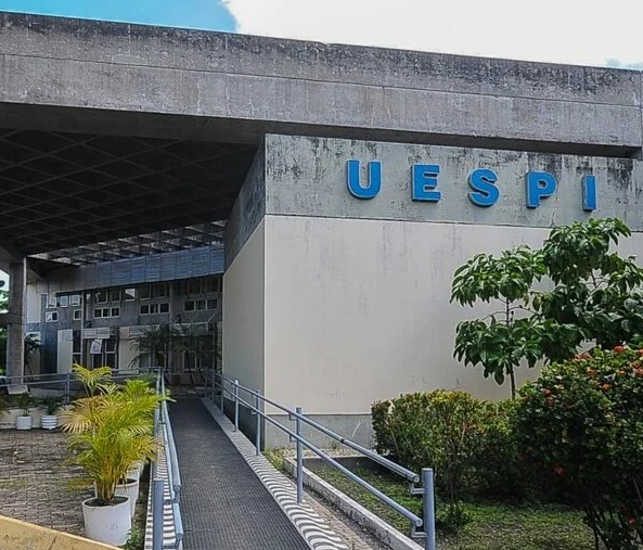Estudante de medicina da Uespi desenvolve plataforma para facilitar estudos na área da saúde