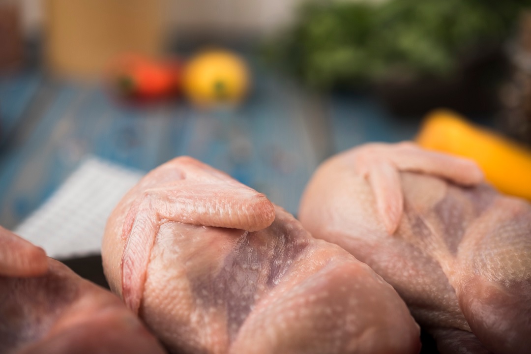 Gripe aviária: produtores de carne de frango em estado de alerta, aponta Cepea