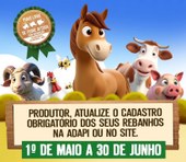 Iniciada a primeira etapa de 2025 da campanha de atualização cadastral de rebanho do PI