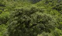 Instituições financeiras têm baixo desempenho em sustentabilidade